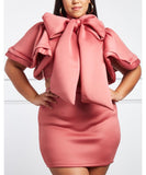 Plus Size Mauve Pink Exaggerated Bow Set